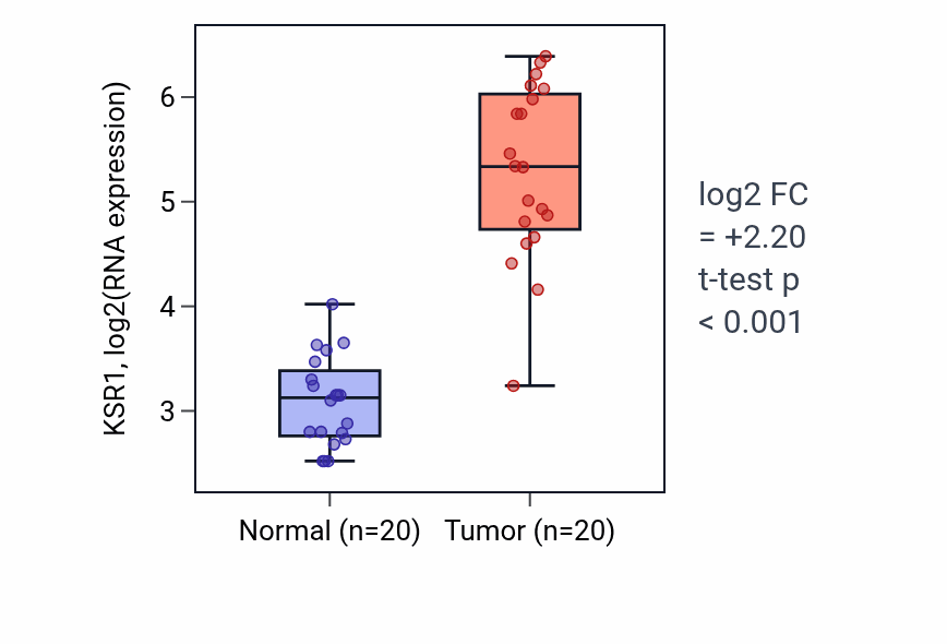 Tumor-vs-normal expression box plot for KSR1 in KIRC.