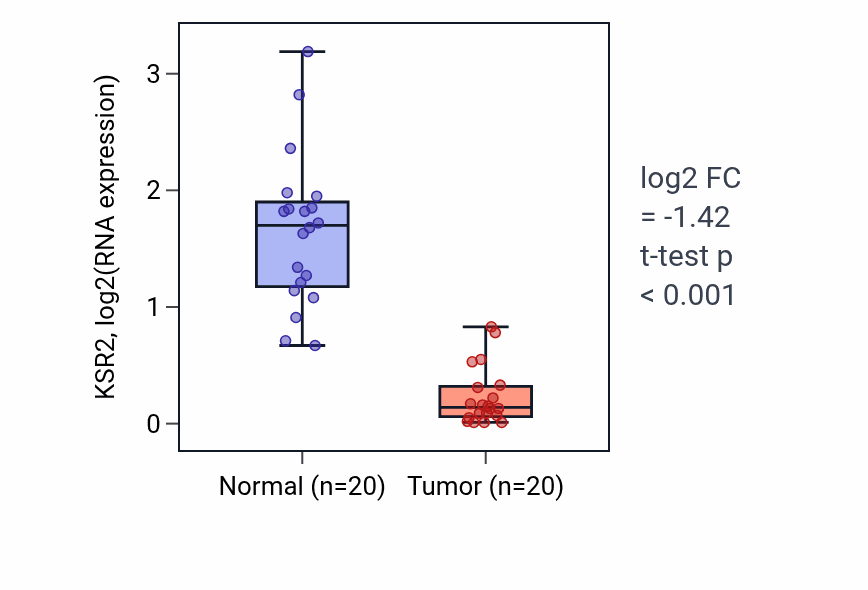 Tumor-vs-normal expression box plot for KSR2 in KIRC.