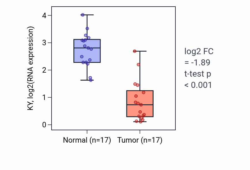 Tumor-vs-normal expression box plot for KY in THCA.