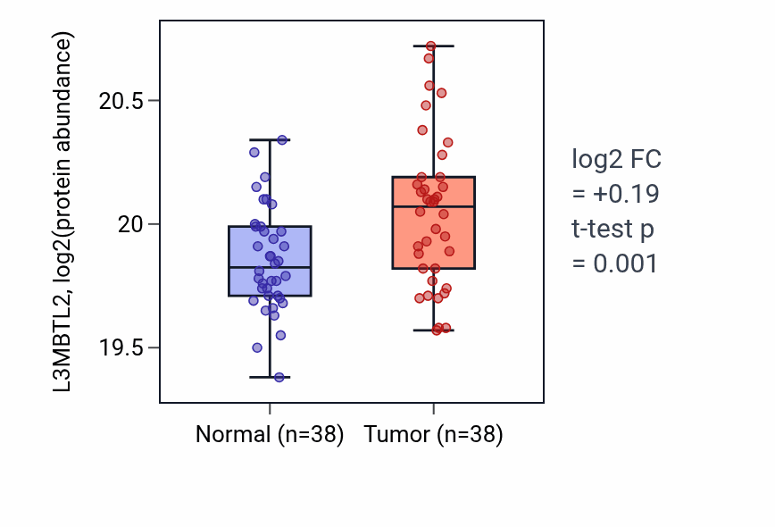 Tumor-vs-normal mass-spec protein box plot for L3MBTL2 in HNSC.