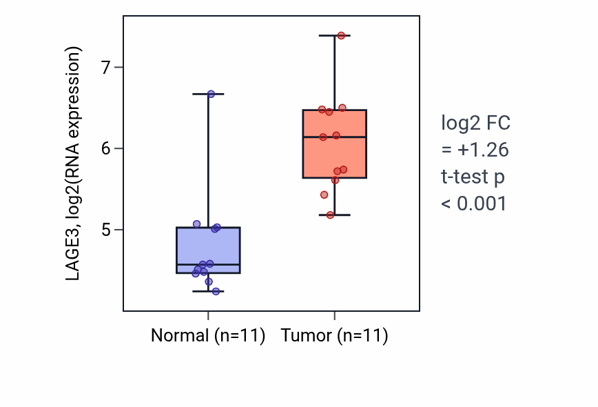 Tumor-vs-normal expression box plot for LAGE3 in HNSC.