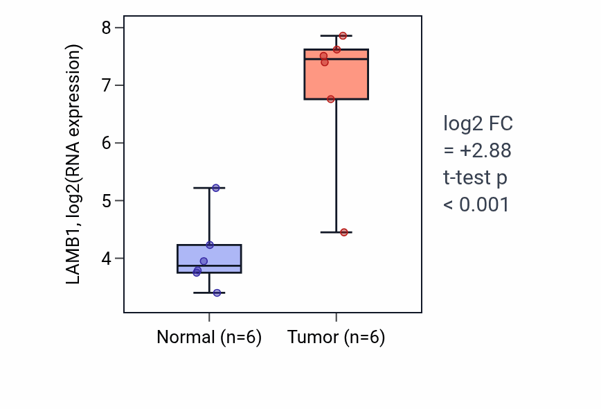 Tumor-vs-normal expression box plot for LAMB1 in HNSC.