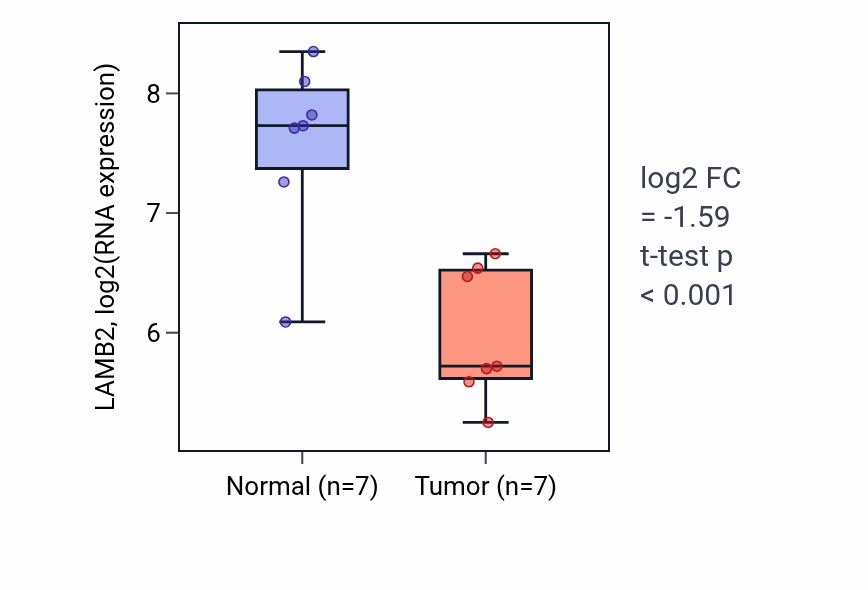 Tumor-vs-normal expression box plot for LAMB2 in BLCA.