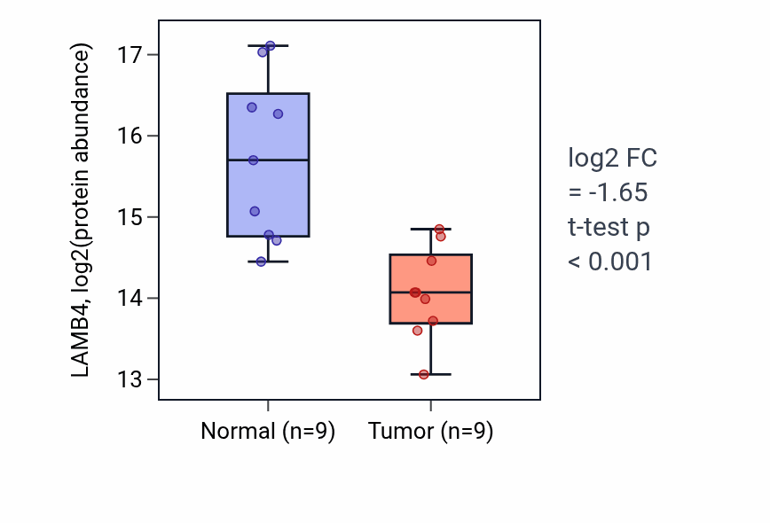 Tumor-vs-normal mass-spec protein box plot for LAMB4 in HNSC.