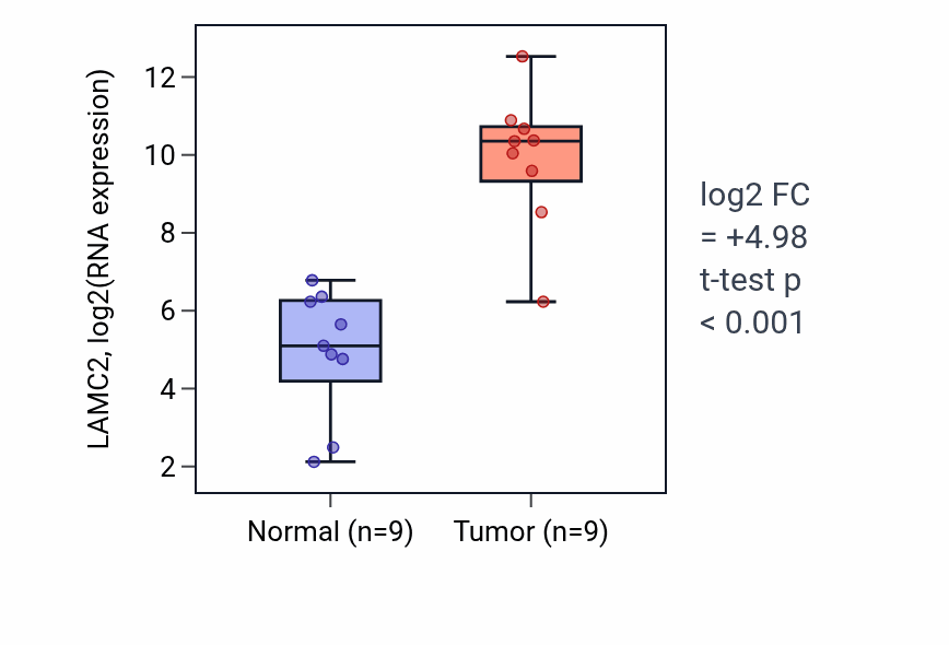 Tumor-vs-normal expression box plot for LAMC2 in HNSC.