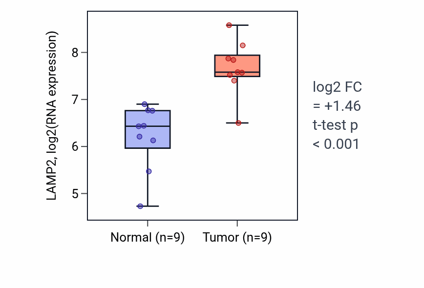 Tumor-vs-normal expression box plot for LAMP2 in HNSC.