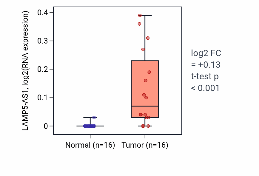 Tumor-vs-normal expression box plot for LAMP5-AS1 in THCA.