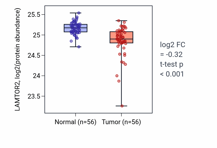Tumor-vs-normal mass-spec protein box plot for LAMTOR2 in HNSC.