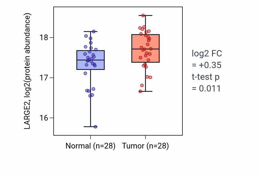 Tumor-vs-normal mass-spec protein box plot for LARGE2 in LSCC.
