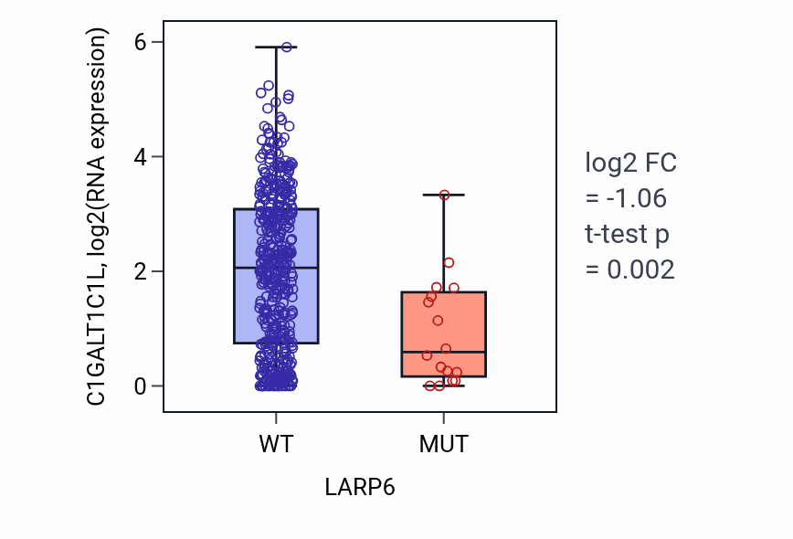 Box plot of C1GALT1C1L in LARP6-low vs LARP6-high samples in SKCM.