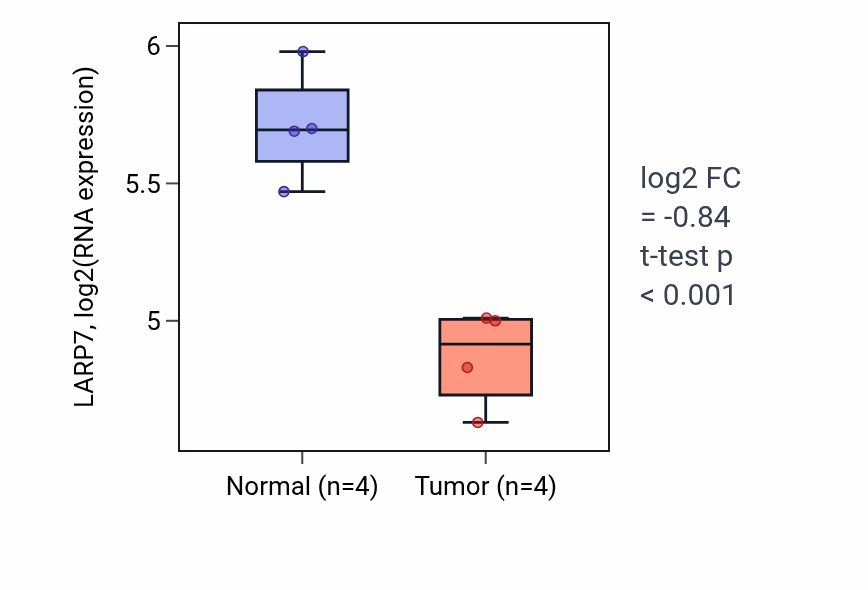 Tumor-vs-normal expression box plot for LARP7 in THCA.