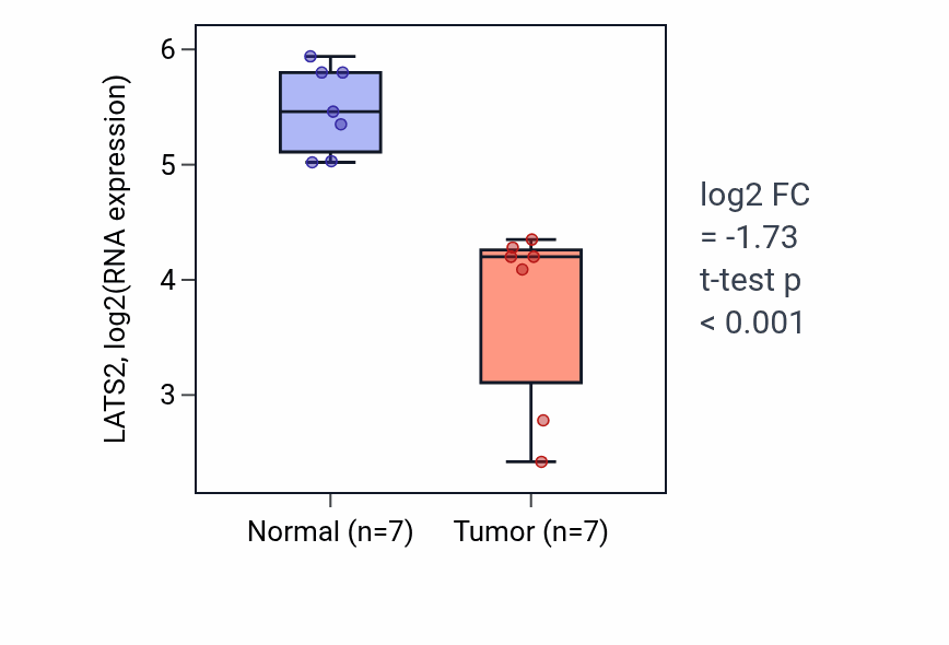 Tumor-vs-normal expression box plot for LATS2 in THCA.