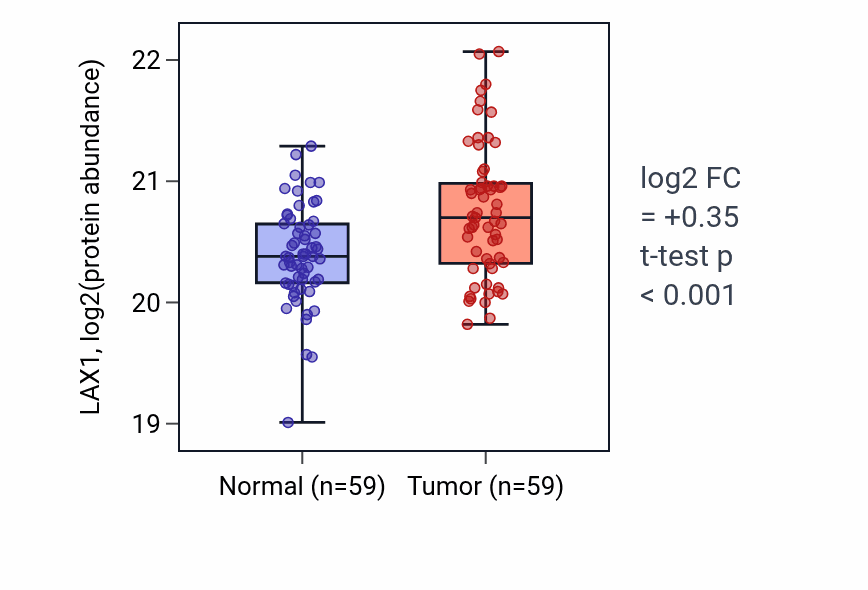 Tumor-vs-normal mass-spec protein box plot for LAX1 in LSCC.