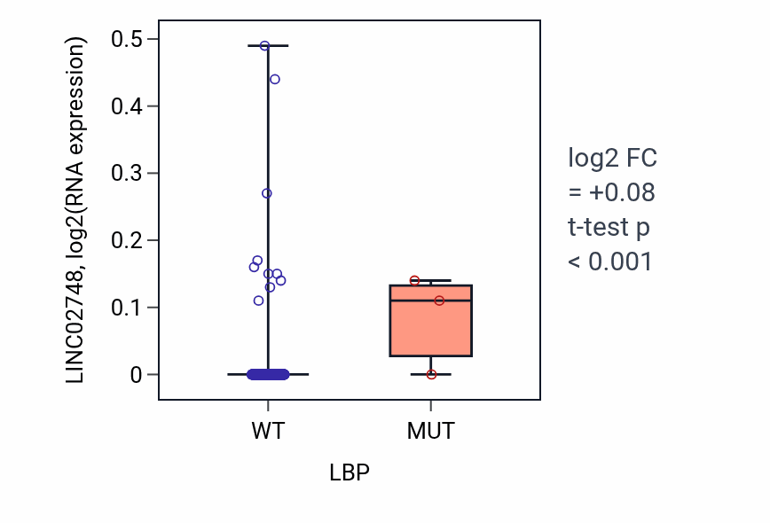 Box plot of LINC02748 in LBP-low vs LBP-high samples in HNSC.