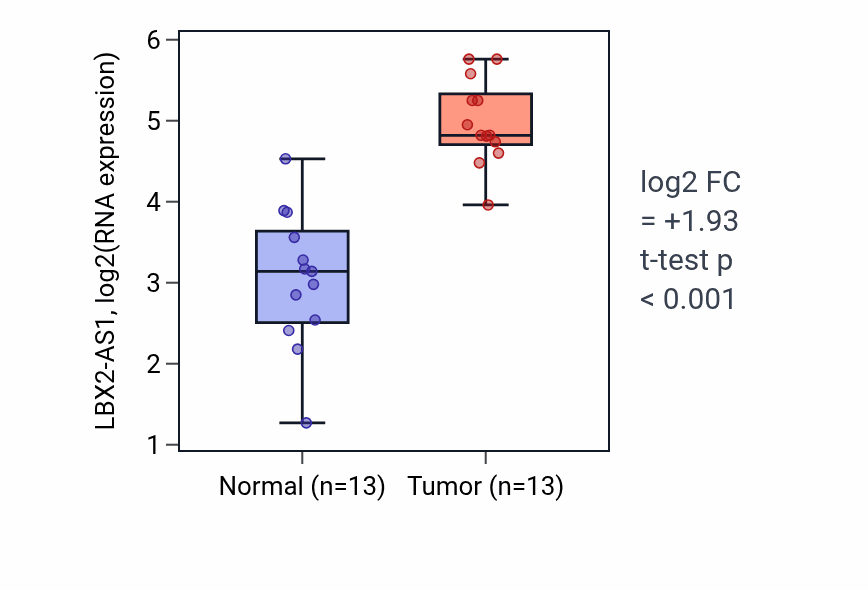 Tumor-vs-normal expression box plot for LBX2-AS1 in KIRC.