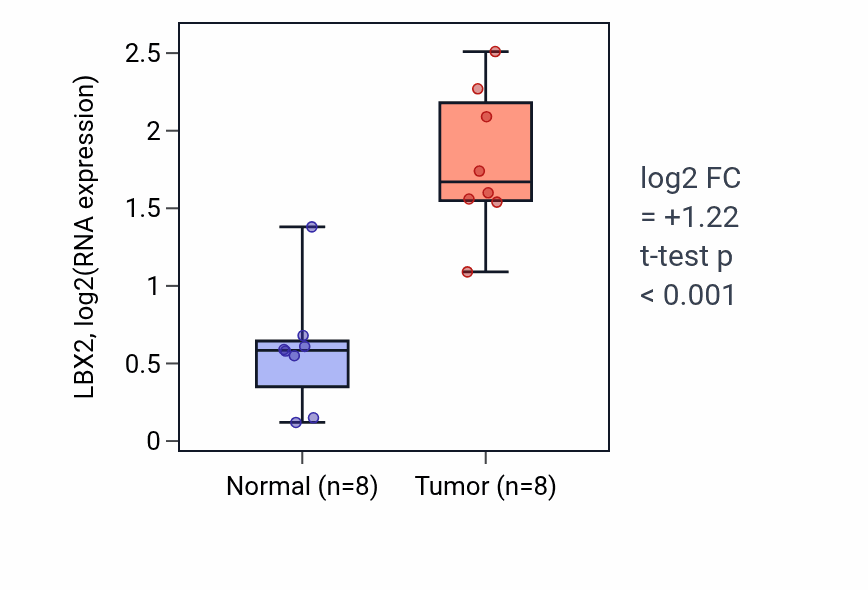 Tumor-vs-normal expression box plot for LBX2 in BLCA.