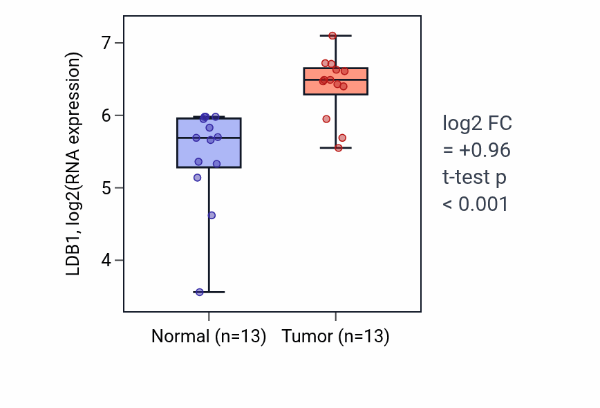 Tumor-vs-normal expression box plot for LDB1 in HNSC.