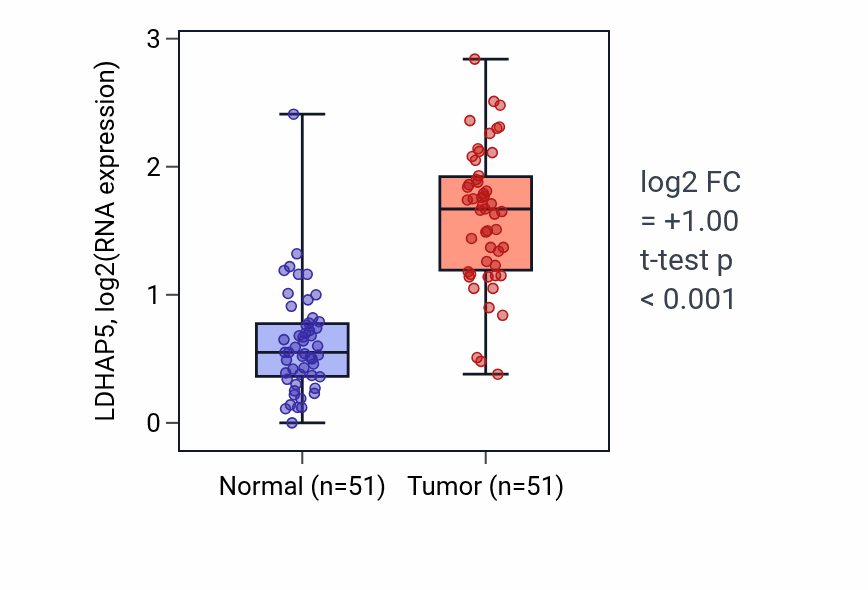 Tumor-vs-normal expression box plot for LDHAP5 in KIRC.
