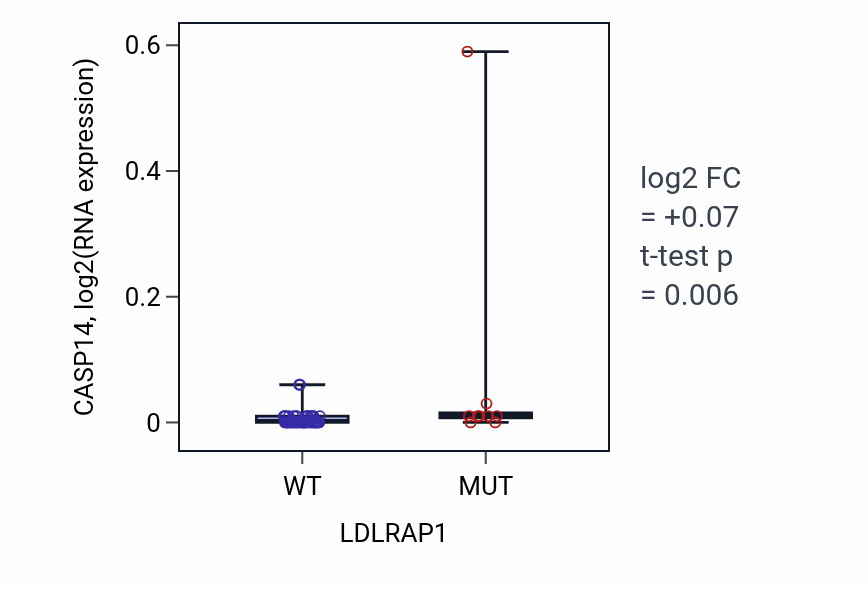 Box plot of CASP14 in LDLRAP1-low vs LDLRAP1-high samples in LARGE_INTESTINE.