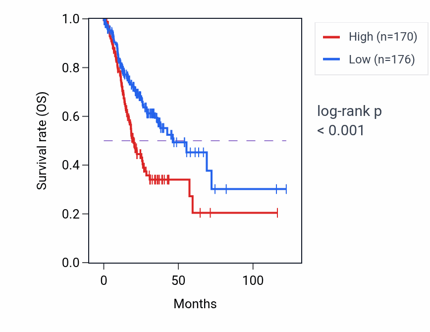 Kaplan&ndash;Meier survival curve for LETM2 RNA expression in STAD: high vs low expression groups.