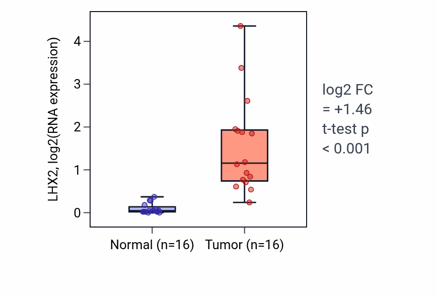Tumor-vs-normal expression box plot for LHX2 in HNSC.