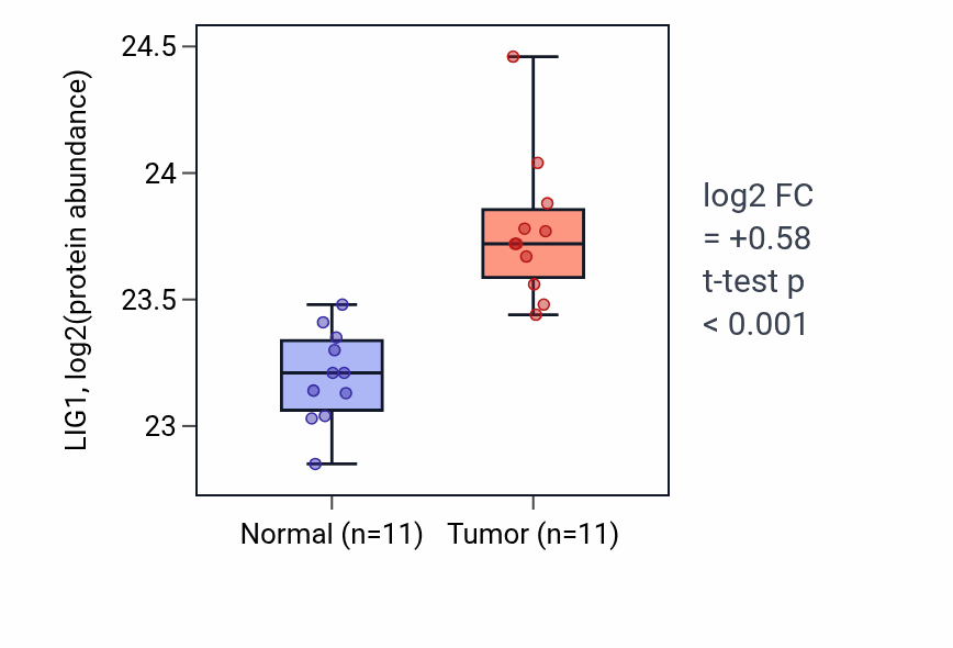Tumor-vs-normal mass-spec protein box plot for LIG1 in CCRCC.