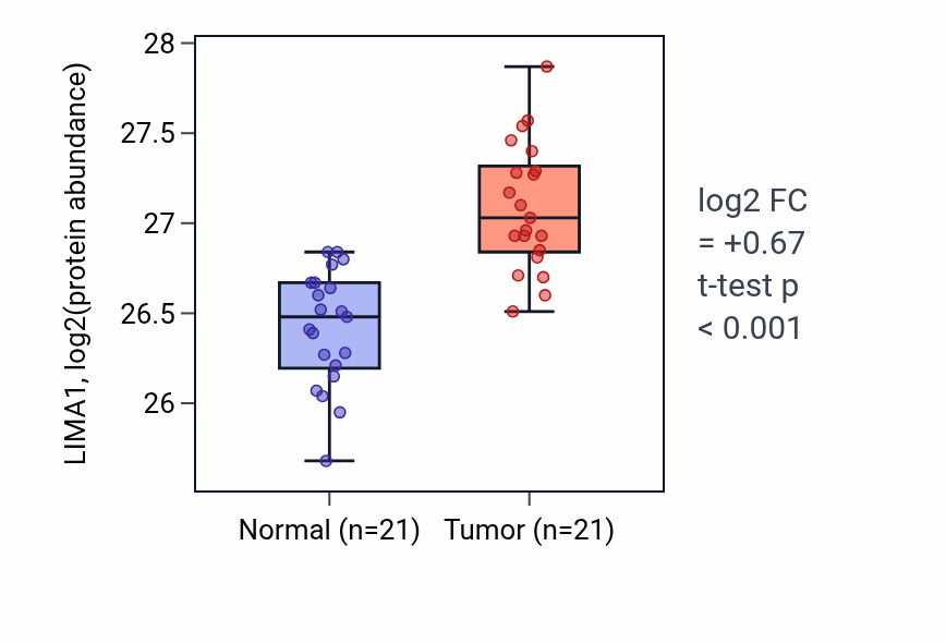 Tumor-vs-normal mass-spec protein box plot for LIMA1 in HNSC.