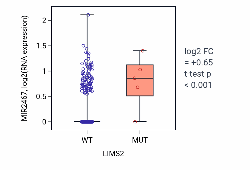 Box plot of MIR2467 in LIMS2-low vs LIMS2-high samples in HNSC.