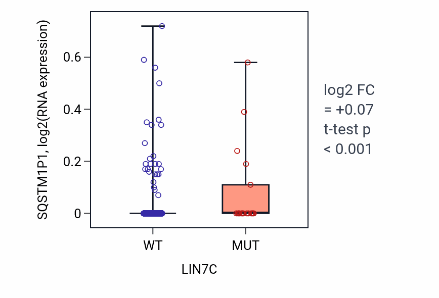 Box plot of SQSTM1P1 in LIN7C-low vs LIN7C-high samples in UCEC.