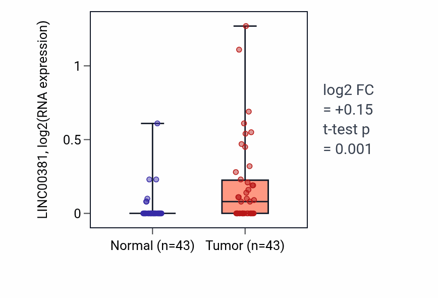 Tumor-vs-normal expression box plot for LINC00381 in HNSC.
