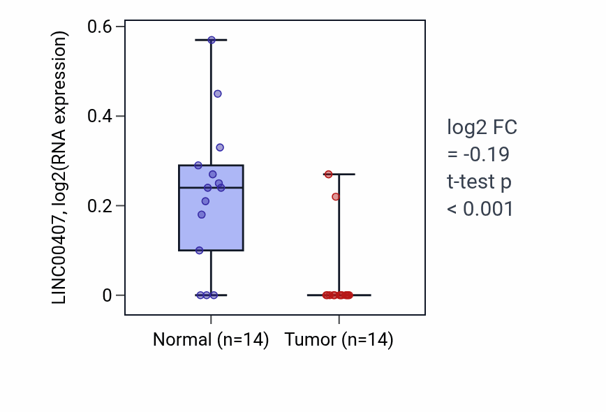 Tumor-vs-normal expression box plot for LINC00407 in LUSC.