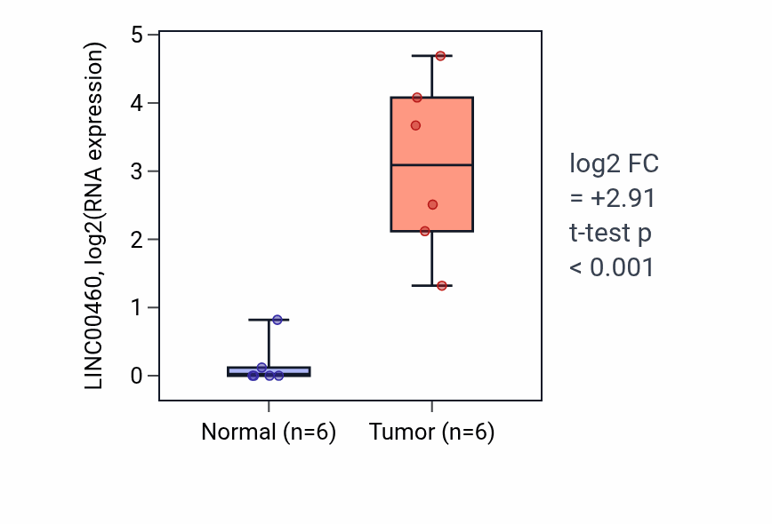 Tumor-vs-normal expression box plot for LINC00460 in HNSC.