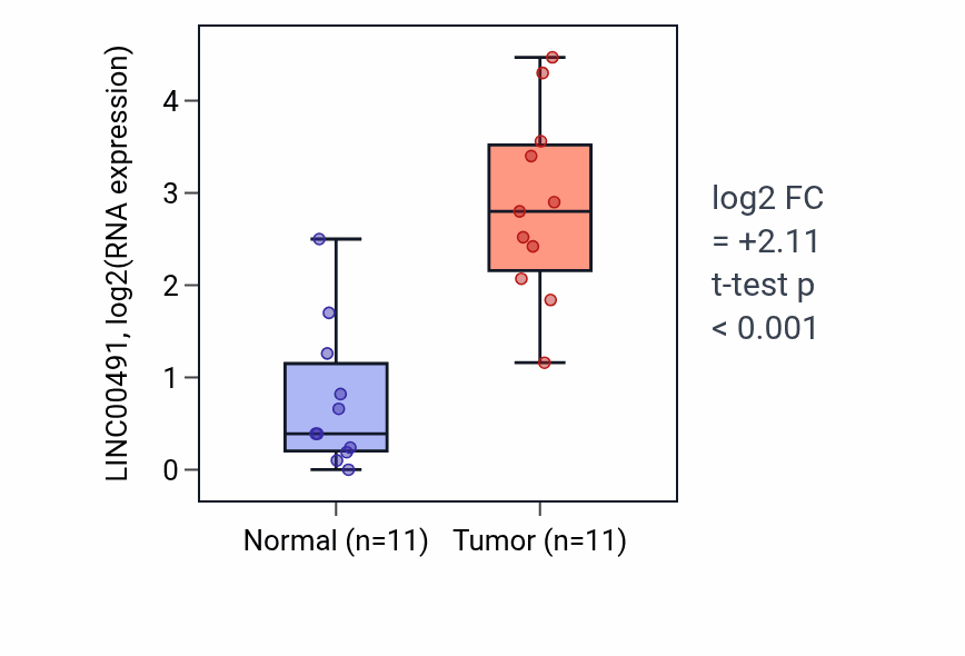 Tumor-vs-normal expression box plot for LINC00491 RNA in HNSC.