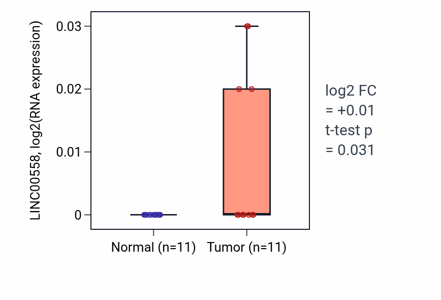 Tumor-vs-normal expression box plot for LINC00558 RNA in HNSC.