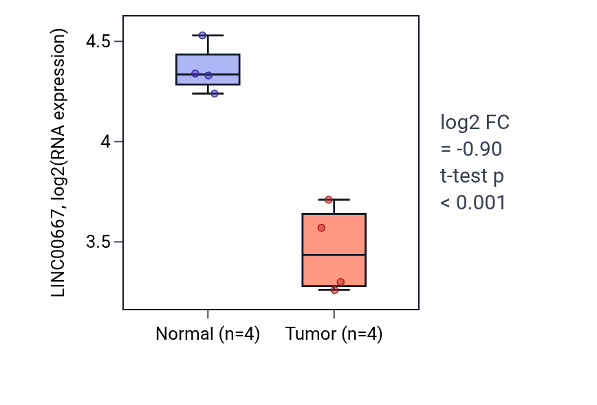 Tumor-vs-normal expression box plot for LINC00667 in THCA.