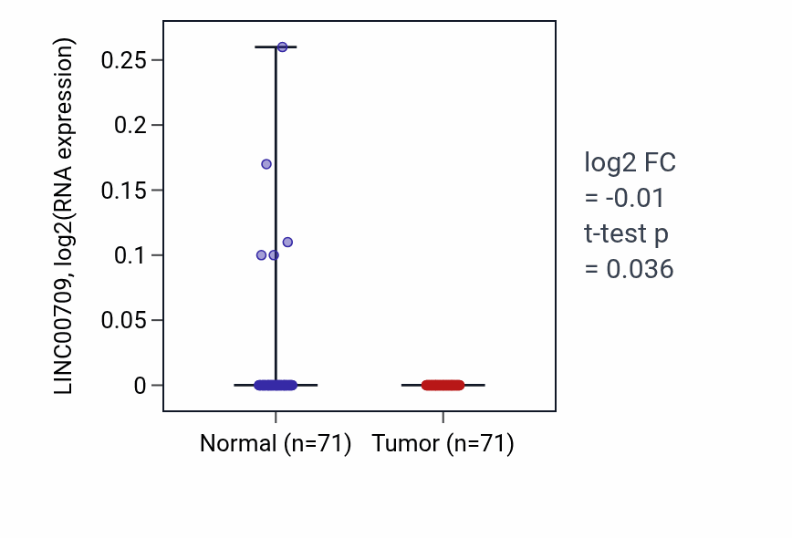 Tumor-vs-normal expression box plot for LINC00709 in KIRC.