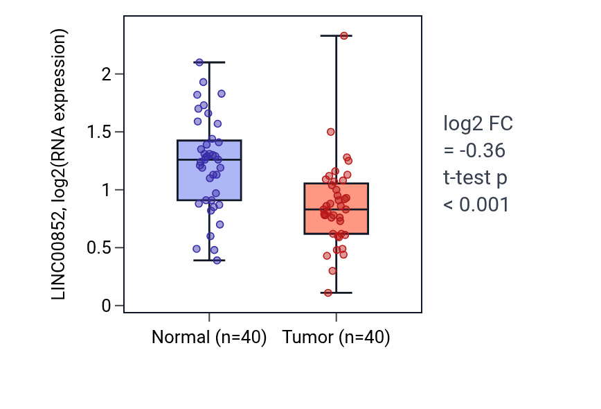 Tumor-vs-normal expression box plot for LINC00852 in HNSC.