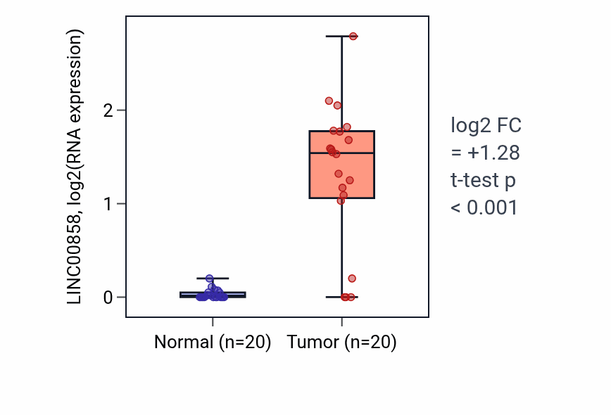 Tumor-vs-normal expression box plot for LINC00858 RNA in COAD.