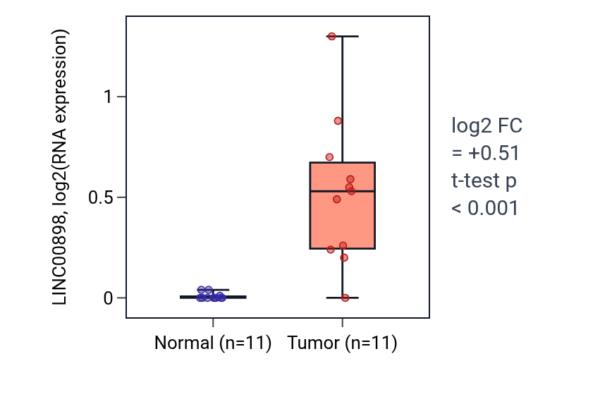 Tumor-vs-normal expression box plot for LINC00898 in HNSC.