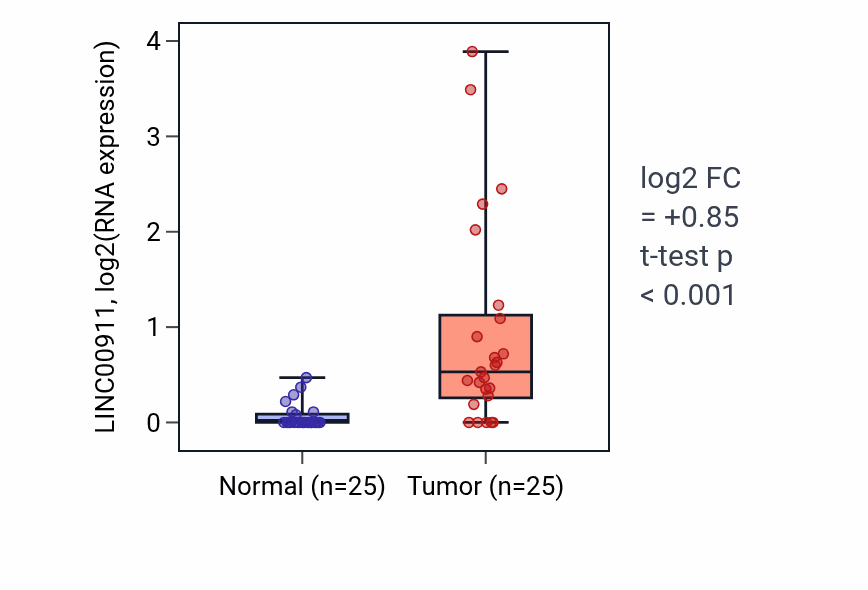 Tumor-vs-normal expression box plot for LINC00911 RNA in HNSC.