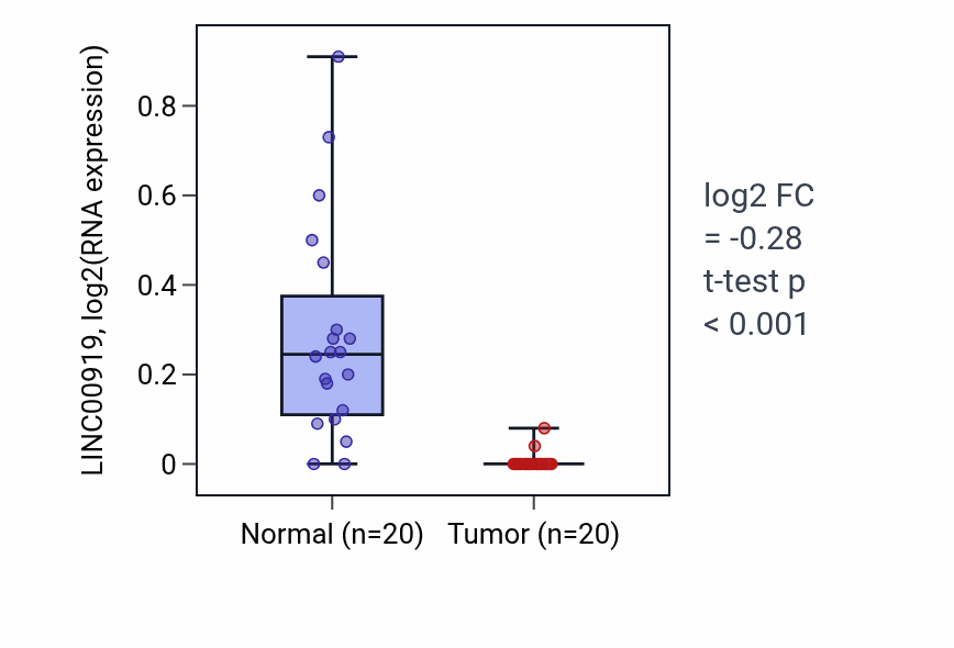 Tumor-vs-normal expression box plot for LINC00919 in KIRC.