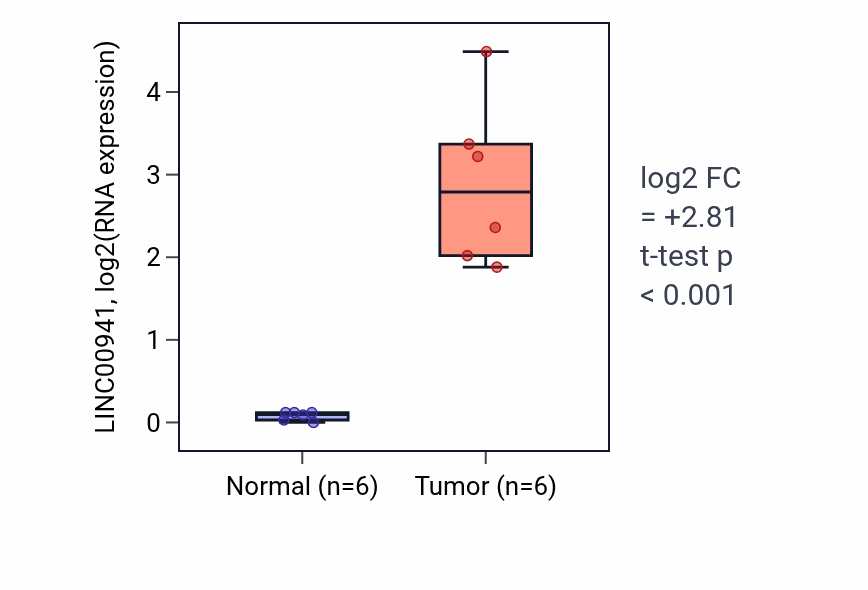 Tumor-vs-normal expression box plot for LINC00941 in HNSC.