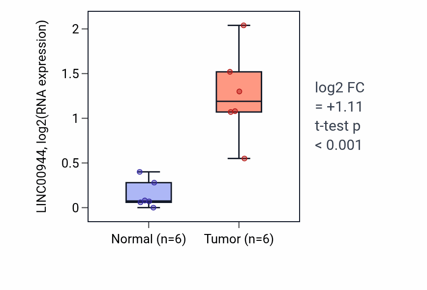 Tumor-vs-normal expression box plot for LINC00944 in HNSC.