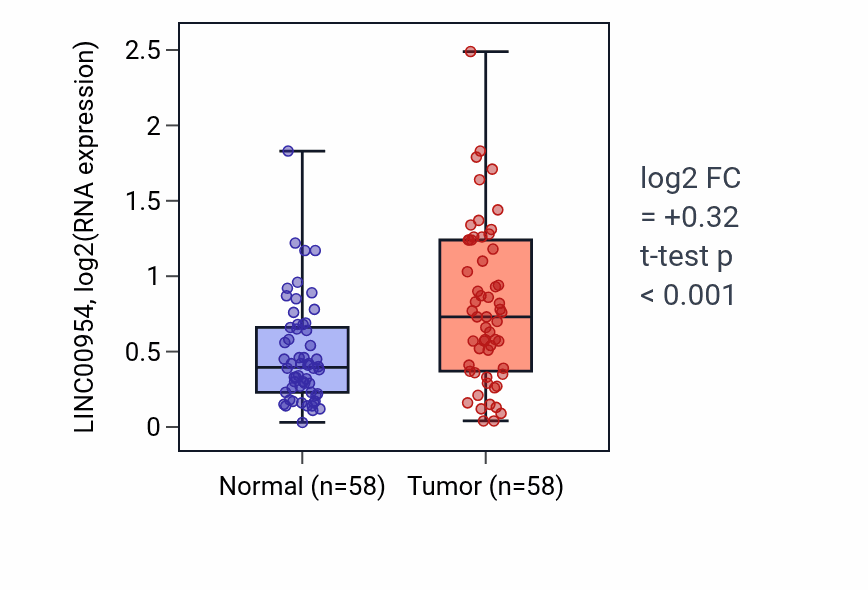 Tumor-vs-normal expression box plot for LINC00954 in THCA.