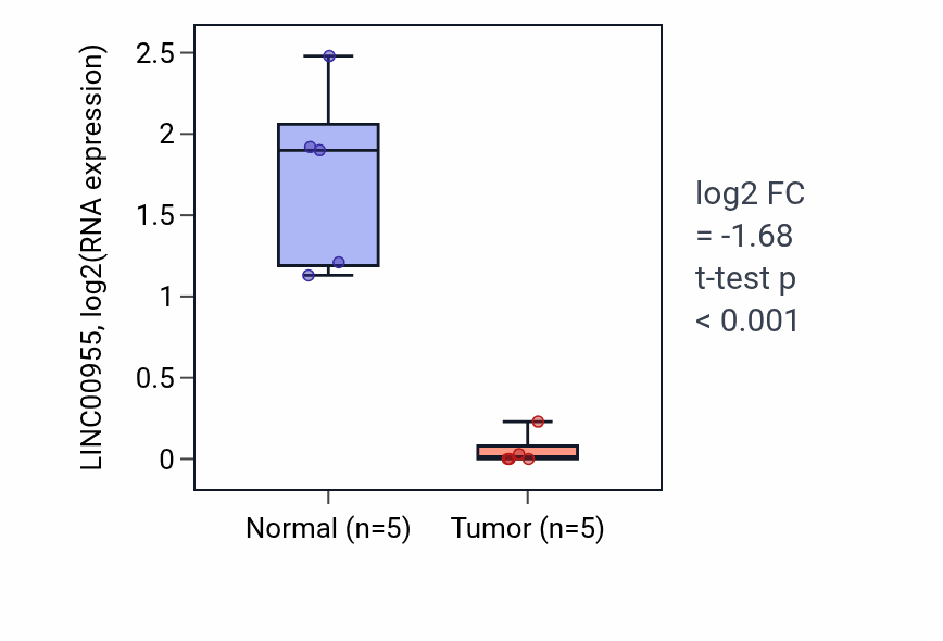 Tumor-vs-normal expression box plot for LINC00955 in KIRP.