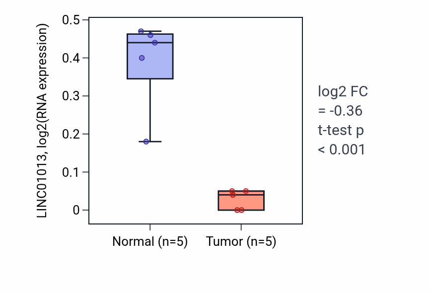 Tumor-vs-normal expression box plot for LINC01013 in COAD.