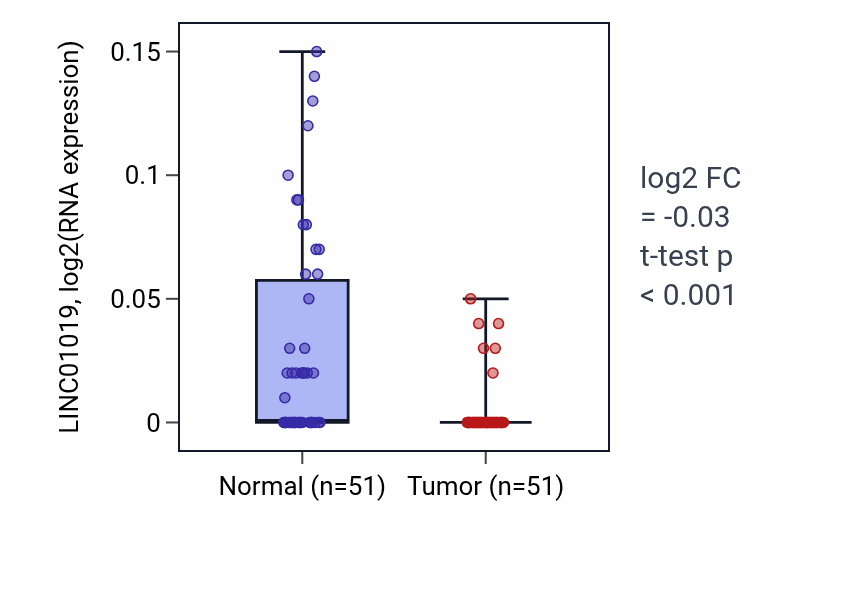 Tumor-vs-normal expression box plot for LINC01019 RNA in KIRC.