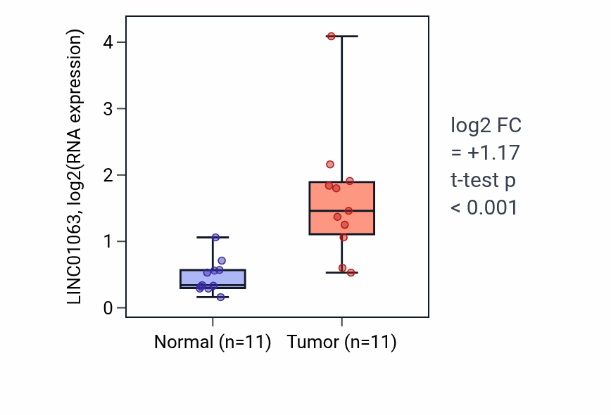 Tumor-vs-normal expression box plot for LINC01063 in HNSC.