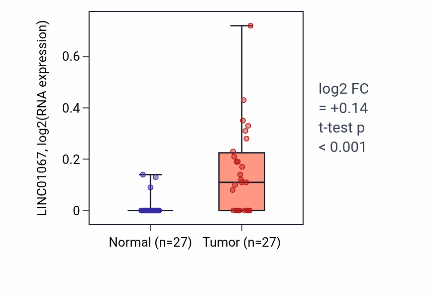 Tumor-vs-normal expression box plot for LINC01067 in HNSC.