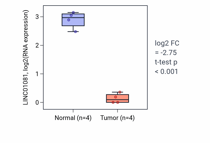 Tumor-vs-normal expression box plot for LINC01081 RNA in BLCA.
